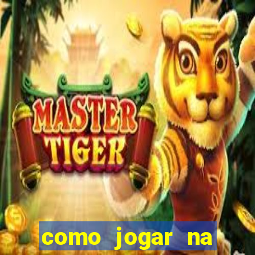 como jogar na teimosinha da lotofacil