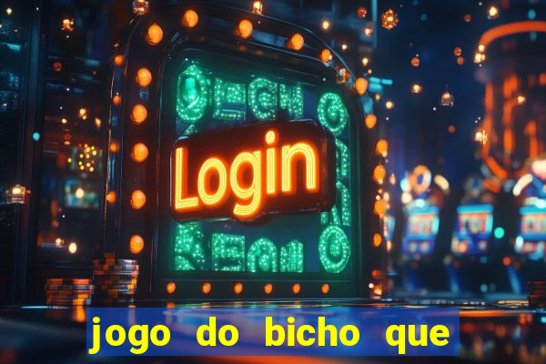 jogo do bicho que paga no pix