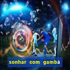 sonhar com gambá jogo do bicho