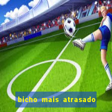 bicho mais atrasado na bahia