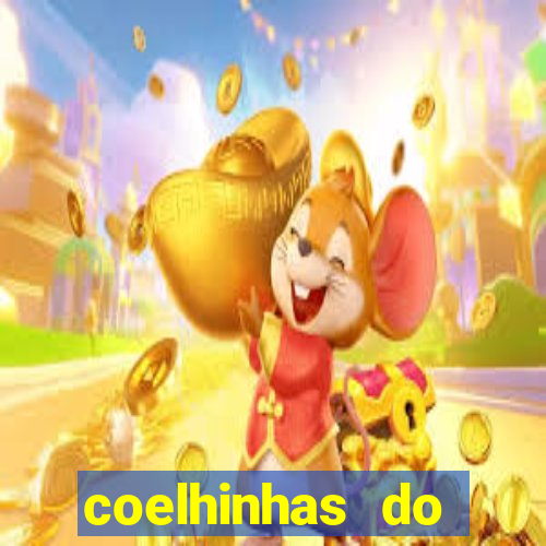 coelhinhas do brasil acompanhantes