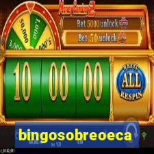 bingosobreoeca