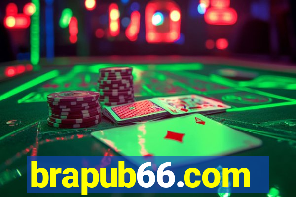 brapub66.com